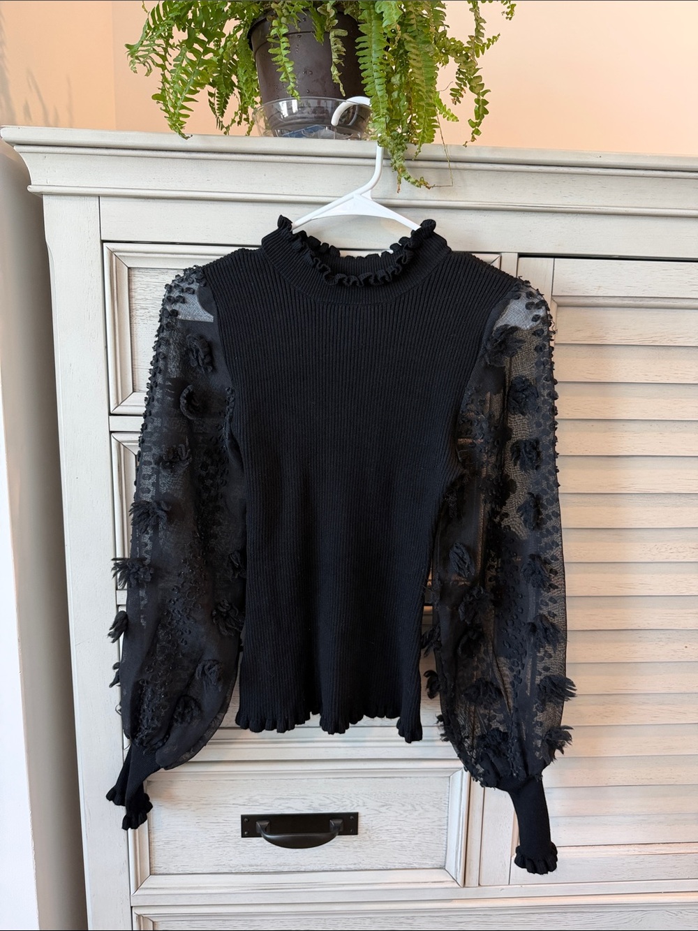 Black Ruffle Mock Neck Top with Sheer Embroidered Sleeves